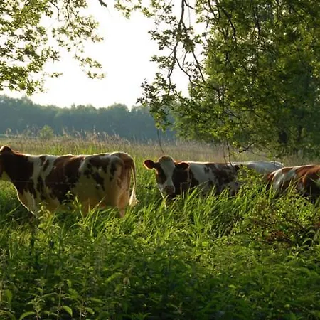 Pipowagen Op Erve De Weijenberg Empe