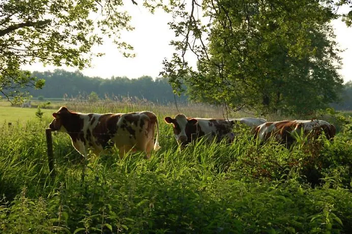 Pipowagen Op Erve De Weijenberg Empe