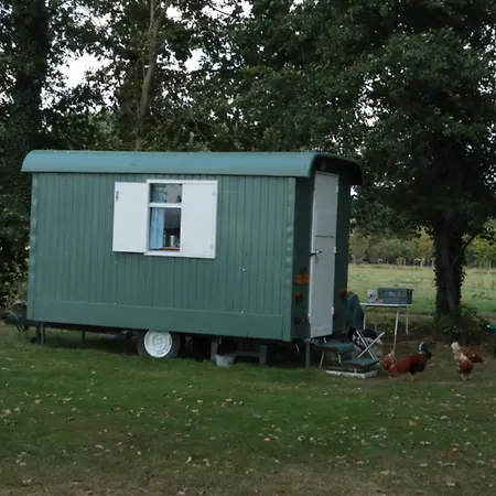 Pipowagen Op Erve De Weijenberg Camping *