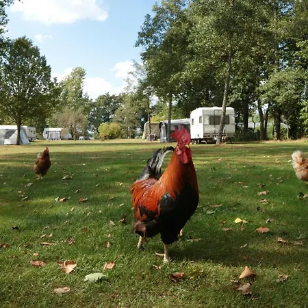 Pipowagen Op Erve De Weijenberg * Empe