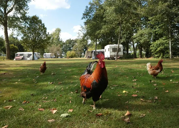 Pipowagen Op Erve De Weijenberg * Empe